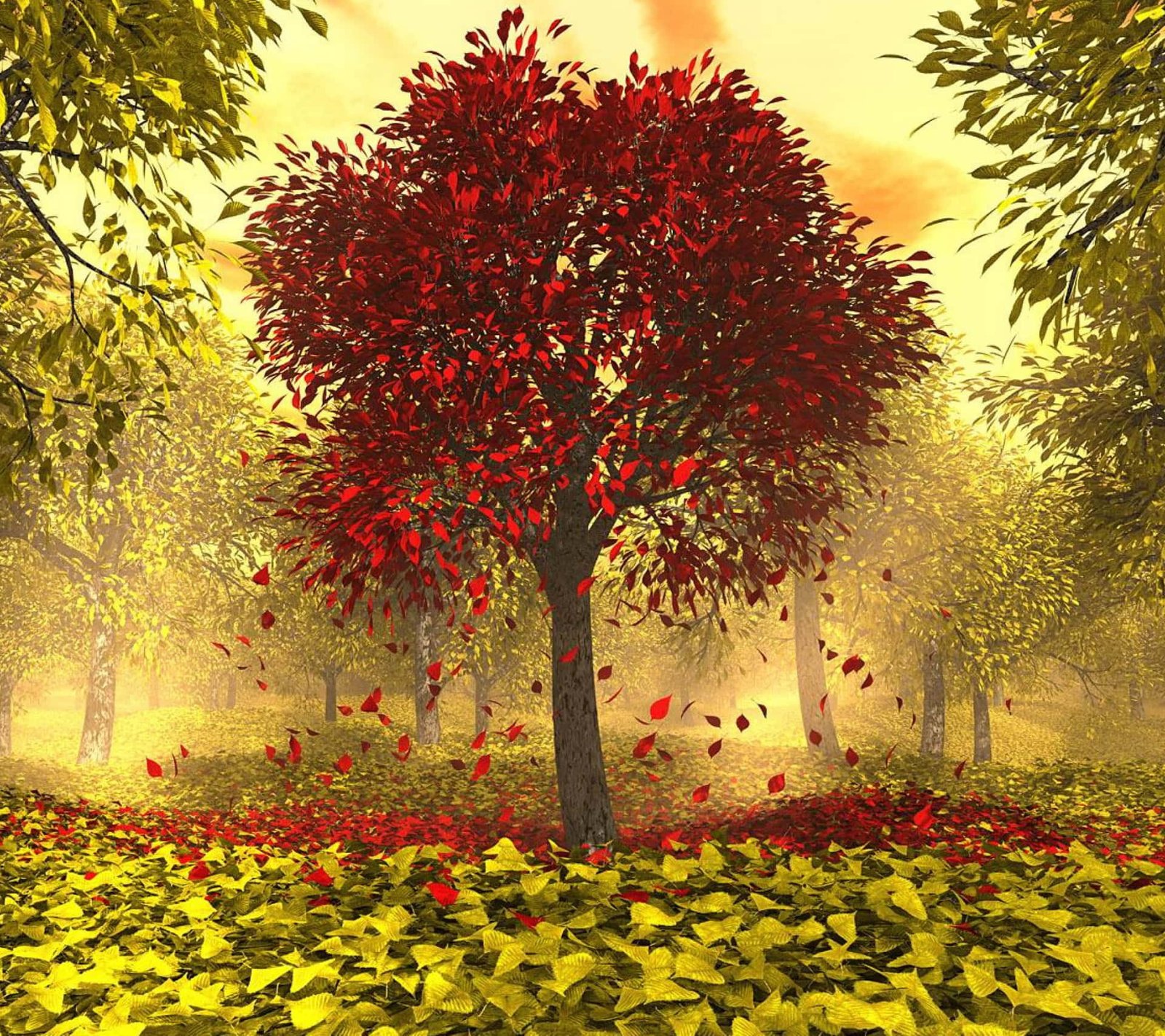 Mabon: Equinoccio de Otoño y la Cosecha Abundante
